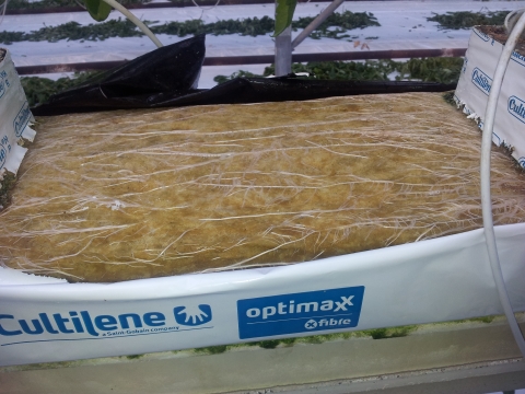 OPTIMAXX - Eurocrop (sito in manutenzione)